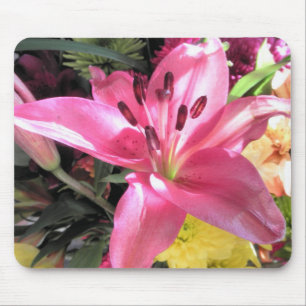Foto Roze Lily Flower Lilies Flowers Muismat