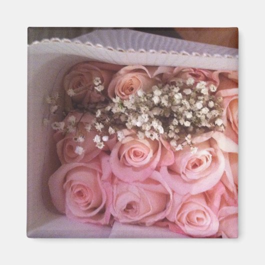 Foto Roze Roses Magneet (Voorkant)
