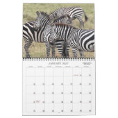 FOTO SAFARI IN AFRIKA-kalender Kalender (Jan 2027)