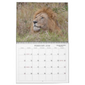 FOTO SAFARI IN AFRIKA-kalender Kalender (Feb 2026)