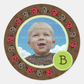 FOTO SEAL:: lieveheersbeestje cirkel 3 Ronde Sticker