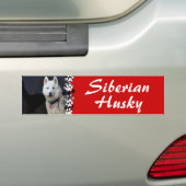 Foto Siberian Husky Bumpersticker (Op auto)