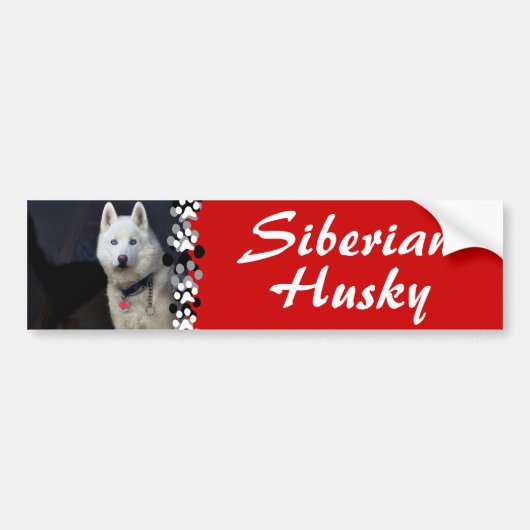 Foto Siberian Husky Bumpersticker (Voorkant)
