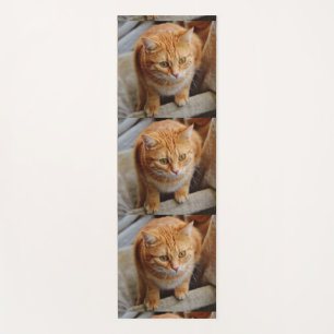 Foto-sjabloon Tiled Familie Huisdier Kat Hond Yogamat