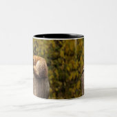 Foto slaapvos tweekleurige koffiemok (Center)