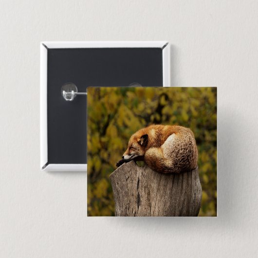 Foto slaapvos vierkante button 5,1 cm (Voorkant /achterkant)