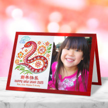 Foto Slang 2025 Chinese Maan Nieuwjaar Papercut