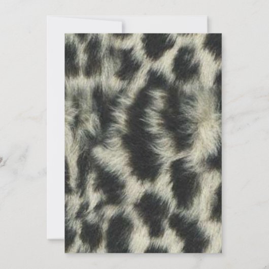 Foto: Sneeuwleopard Afstuderen Uitnodiging (Achterkant)