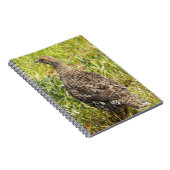 Foto Sooty Grouse Wildlife Notitieboek (Rechterzijde)