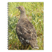 Foto Sooty Grouse Wildlife Notitieboek (Voorkant)