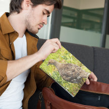 Foto Sooty Grouse Wildlife