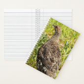Foto Sooty Grouse Wildlife Notitieboek (Binnen)