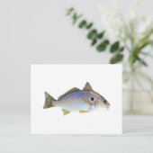 Foto Spot Fish Briefkaart (Staand voorkant)