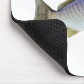 Foto Spot Fish Muismat (Hoek)