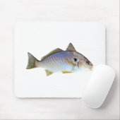 Foto Spot Fish Muismat (Met muis)