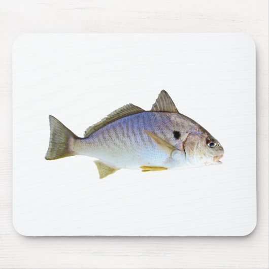 Foto Spot Fish Muismat (Voorkant)