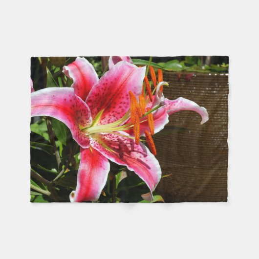 Foto Stargazer Lily Fleece Deken (Voorkant (Horizontaal))