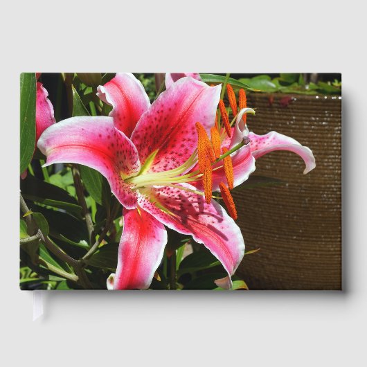 Foto Stargazer Lily Gastenboek (Voorkant)