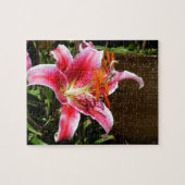 Foto Stargazer Lily Legpuzzel (Horizontaal)