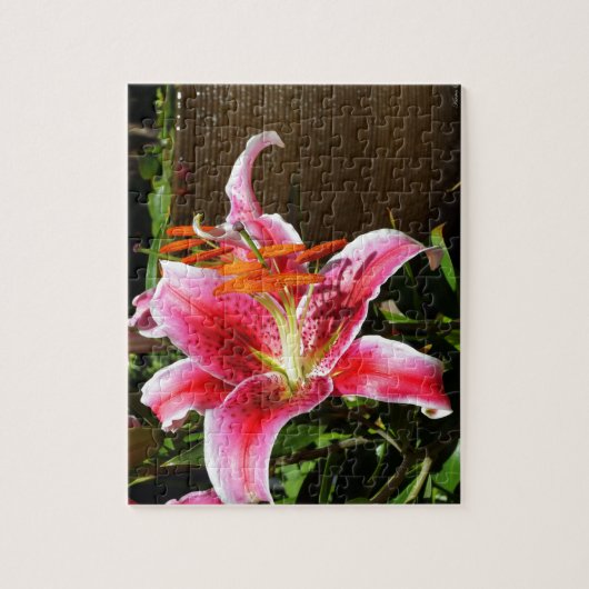 Foto Stargazer Lily Legpuzzel (Verticaal)