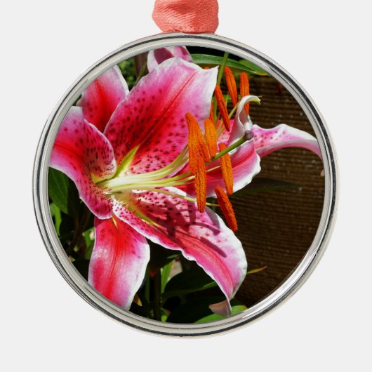 Foto Stargazer Lily Metalen Ornament (Voorkant)