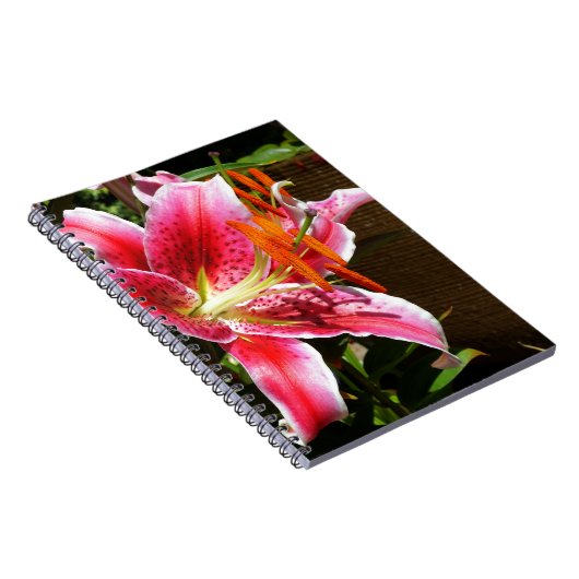 Foto Stargazer Lily Notitieboek (Rechterzijde)