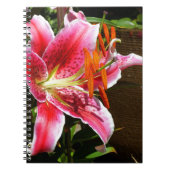 Foto Stargazer Lily Notitieboek (Voorkant)