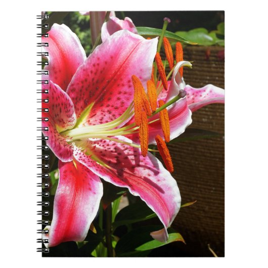 Foto Stargazer Lily Notitieboek (Voorkant)