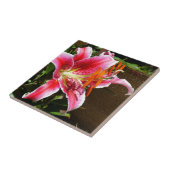 Foto Stargazer Lily Tegeltje (Zijkant)