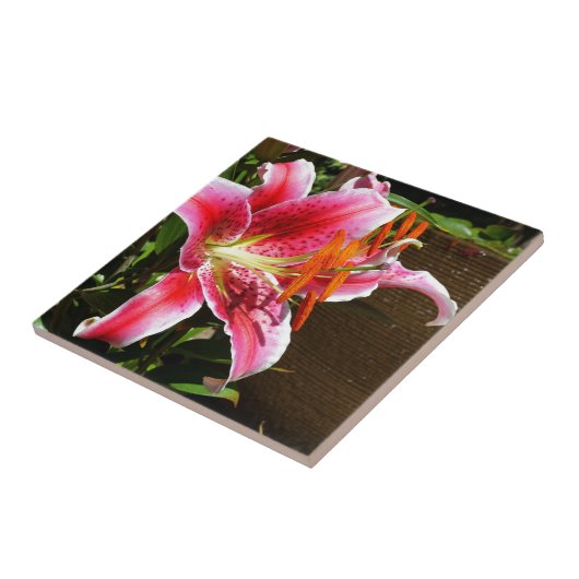 Foto Stargazer Lily Tegeltje (Zijkant)