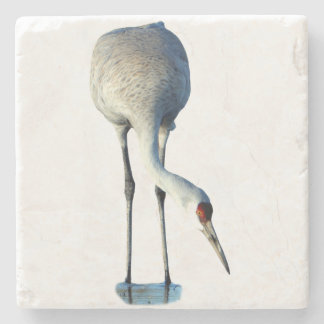 Foto steen coaster van zandkraanvogel stenen onderzetter