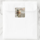 Foto Stickers Wilde Eend (Tas)