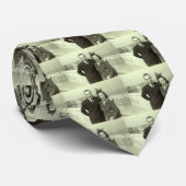  Foto Stropdas (Opgerold)