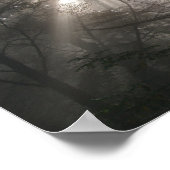 Foto Sunlight Through Trees Poster (Hoek)