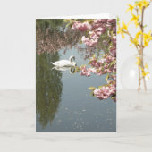 Foto Swan Kaart (Gele Bloem)