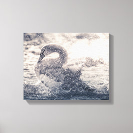 Foto Swan Natuur Canvas Afdruk