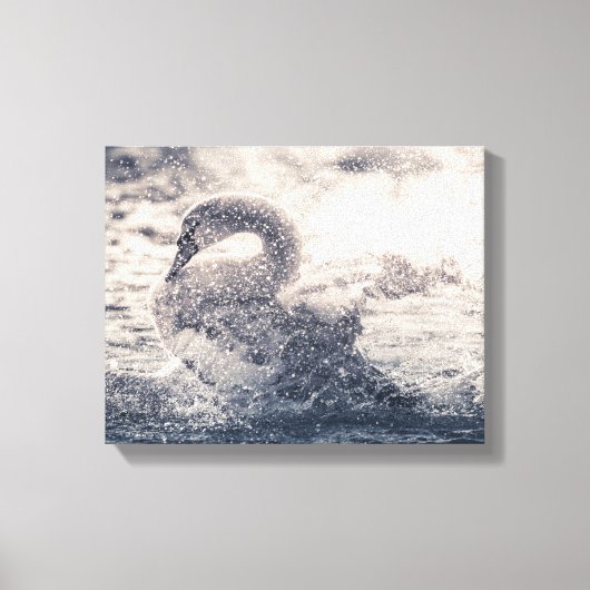 Foto Swan Natuur Canvas Afdruk (Voorkant)