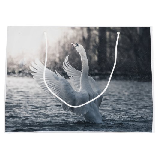 Foto Swan Natuur Groot Cadeauzakje (Voorkant)