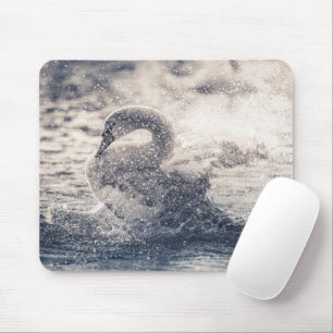 Foto Swan Natuur Muismat