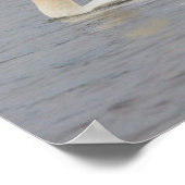 Foto Swan Poster (Hoek)