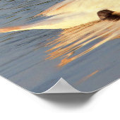 Foto Swan Poster (Hoek)