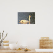 Foto Swan Poster (Keuken)