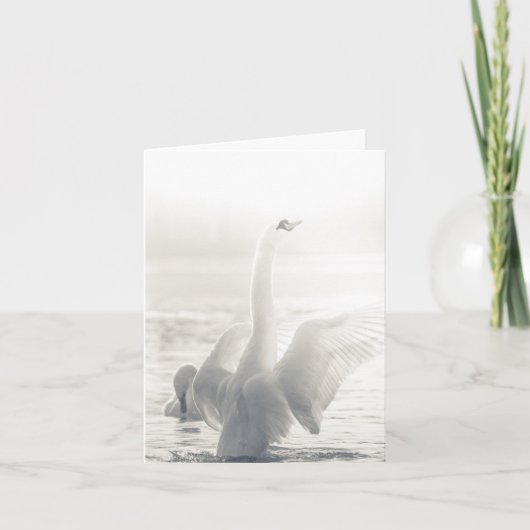 Foto Swan Wildlife Kaart (Voorkant)