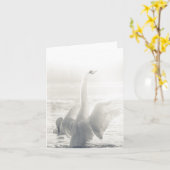 Foto Swan Wildlife Kaart (Gele Bloem)
