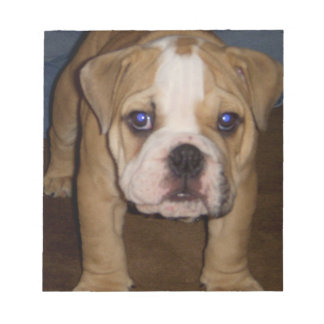 Foto Te, plaatje Notitieblok