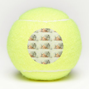 Foto Tennisballen
