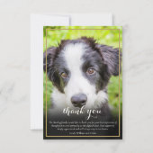 Foto ter nagedachtenis aan huisdier bedankkaart (Voorkant)