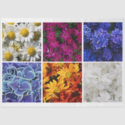 Foto Tissue Paper HAMbyWG Tissuepapier (Voorkant)