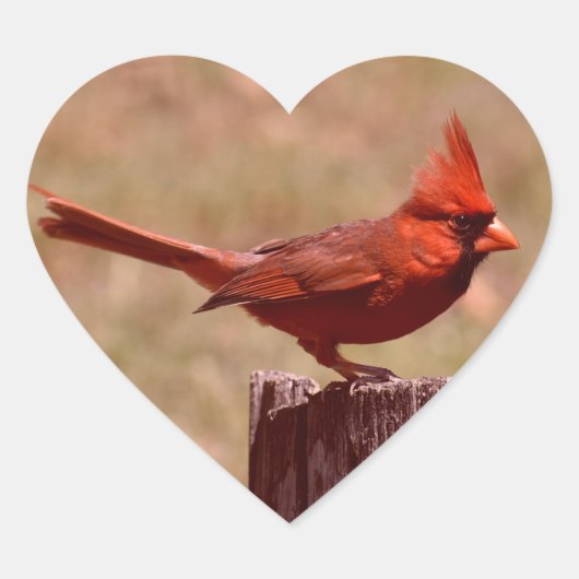 FOTO TOEVOEGEN HART STICKER (Voorkant)