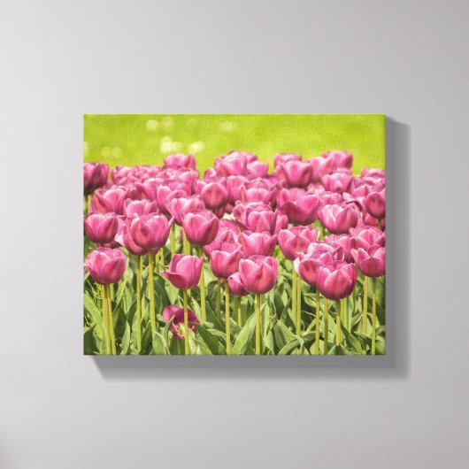 Foto Tulps Field Flower Canvas Afdruk (Voorkant)